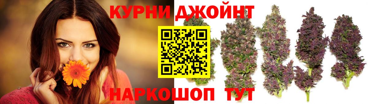 Бошки Шишки гибрид Лобня